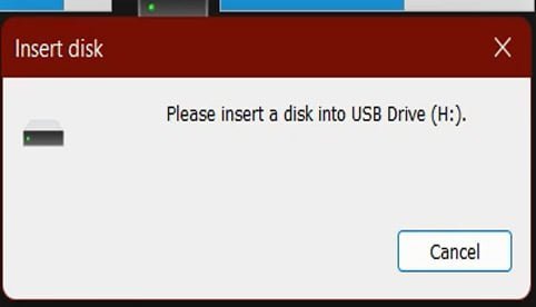 Please Insert a Disk Into USB Drive