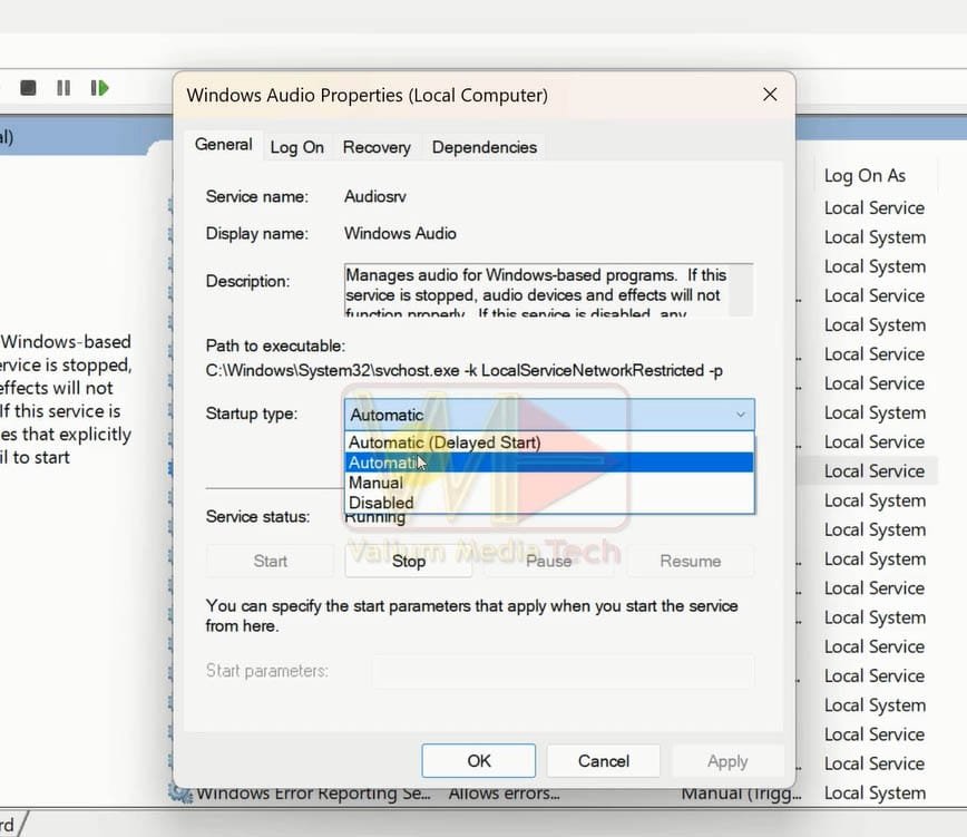 Set the Startup type of Windows Audio Service to Automatic